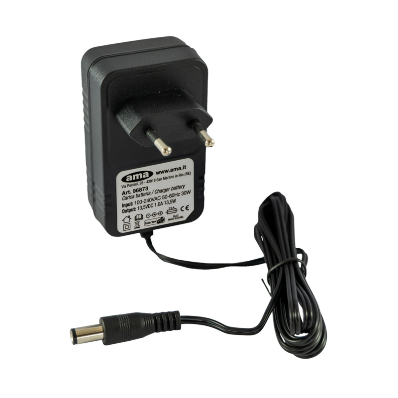 CARICA BATTERIA  litio 12V 8Ah