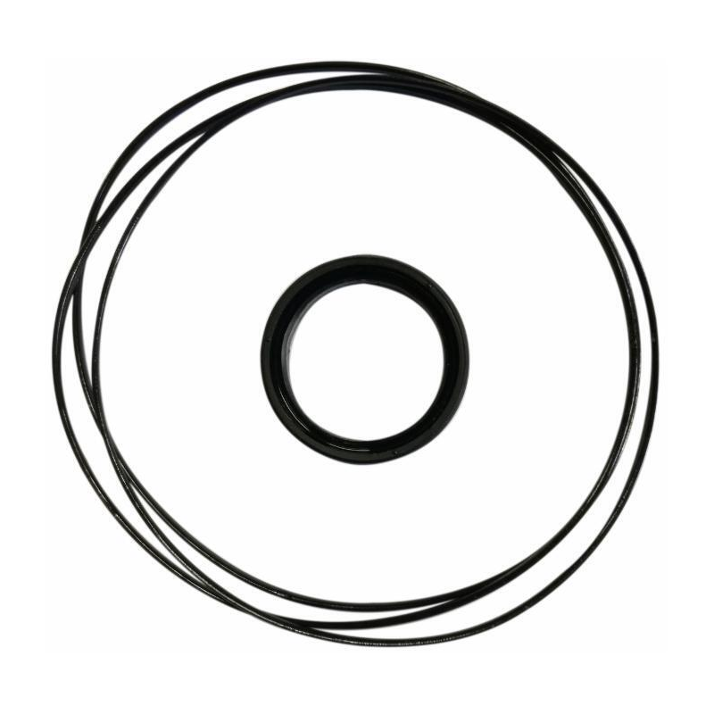 KIT GUARNIZIONI PER MOTORI ORBITALI DANFOSS "WP"