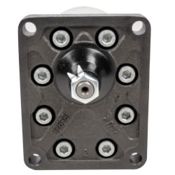 Pompa ad ingranaggi Gruppo 3 da 30,20 cc sinistra