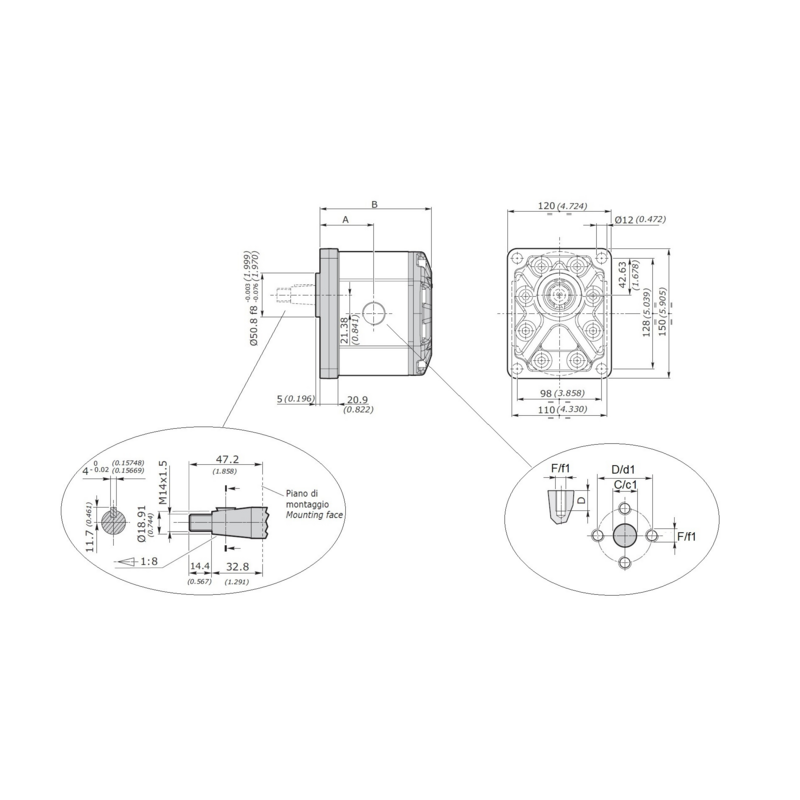 Pompa ad ingranaggi Gruppo 3 da 62,70 cc sinistra