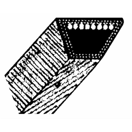 CINGHIA SNAPPER 12353