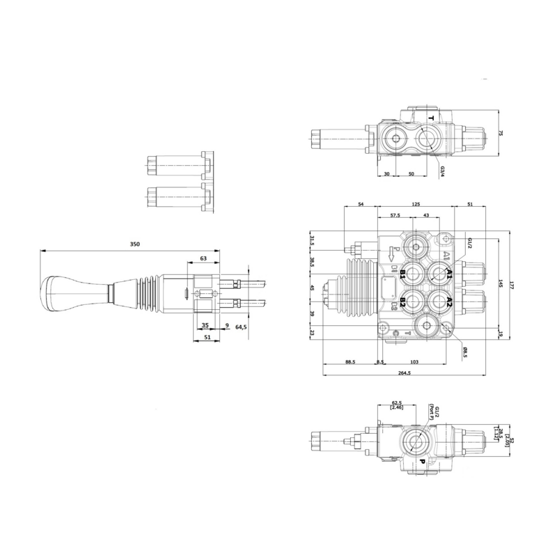 DISTRIBUTORE MODELLO "BASIC" A 2 LEVE 1° DOPPIO EFFETTO 2° DOPPIO EFFETTO FLOTTANTE 40 LITRI CON LEVA CLOCHE E CAVI L.1500mm