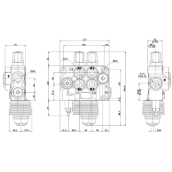 DISTRIBUTORE MODELLO "BASIC" A 2 LEVE DOPPIO EFFETTO 80 LITRI CON LEVA CLOCHE