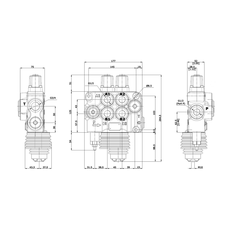 DISTRIBUTORE MODELLO "BASIC" A 2 LEVE DOPPIO EFFETTO 80 LITRI CON LEVA CLOCHE