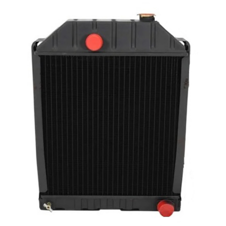 RADIATORE ADATTABILE RIF 81817280