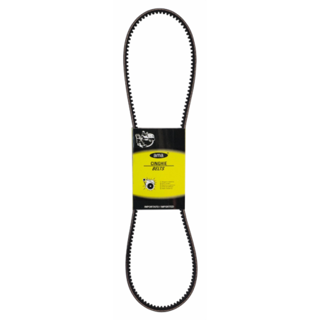 COPPIA CINGHIE ADATTABILE A 5140014