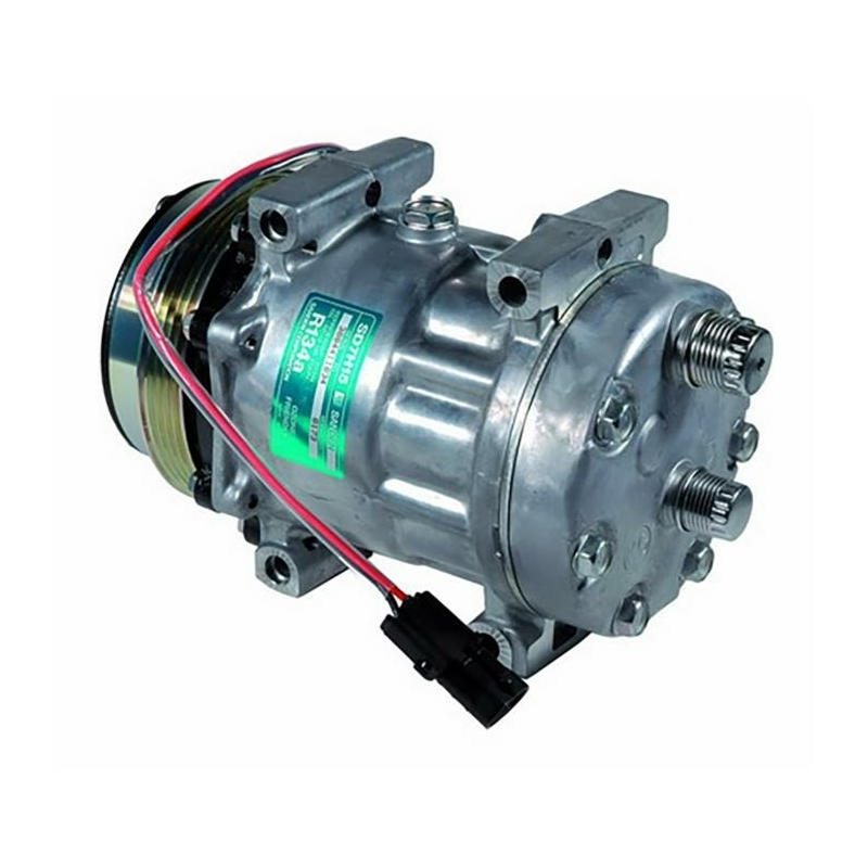 Compressore aria condizionata Sanden 8173