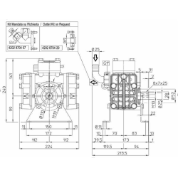 ELETTROPOMPA A MEMBRANA MOD UDOR KAPPA25 220V