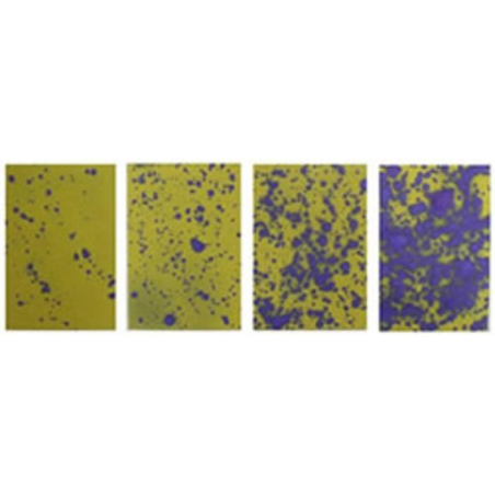 CARTINE IDROSENSIBILI 52 x 76mm (50PZ)