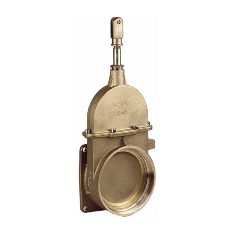 SARACINESCA A STANTUFFO 6"