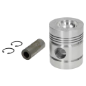 PISTONE E SPINOTTO ADATTABILE A RIF. ORIG. MASSEY 735187M91