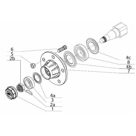 DADO CORONA E COPPIGLIA