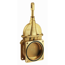 SARACINESCA A STANTUFFO 6"