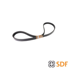 04437549	CINGHIA X COMPRESS.