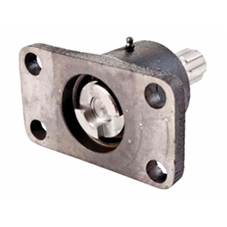 PRESA DI FORZA ADATTABILE PASQUALI