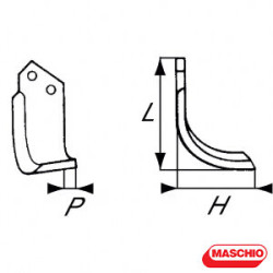 M01110426R Aletta dx