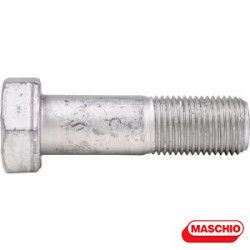 F20110045R	VITE M16X1,5X55