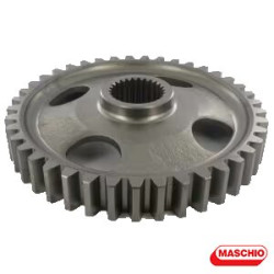 M36100306R	INGRANAGGIO LATERALE DM
