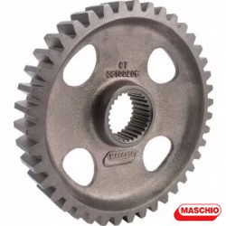 M36100206R	INGRANAGGIO CENTRALE DM