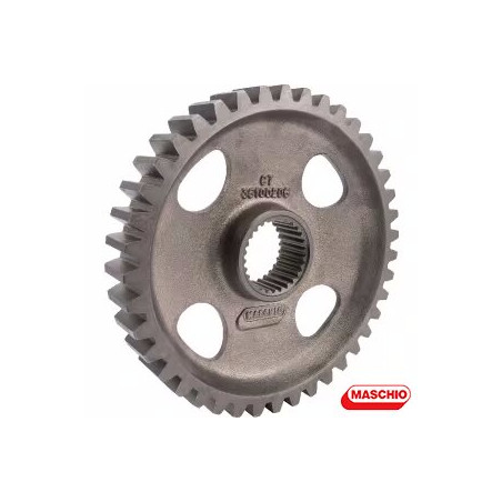 M36100206R	INGRANAGGIO CENTRALE DM