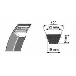 CINGHIE STANDARD C55