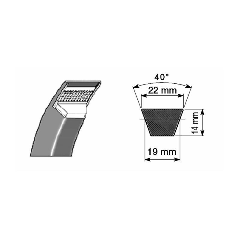 CINGHIA STANDARD C116