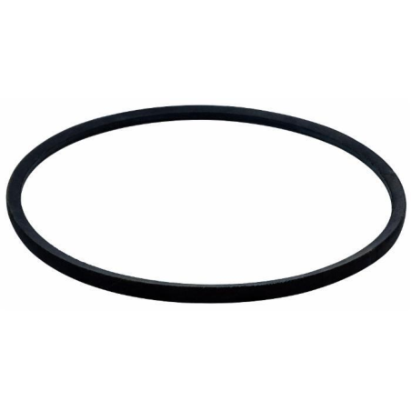 CINGHIA STANDARD G SPA1180