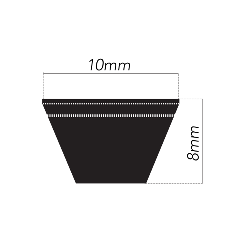 CINGHIA STANDARD AVX10X1250