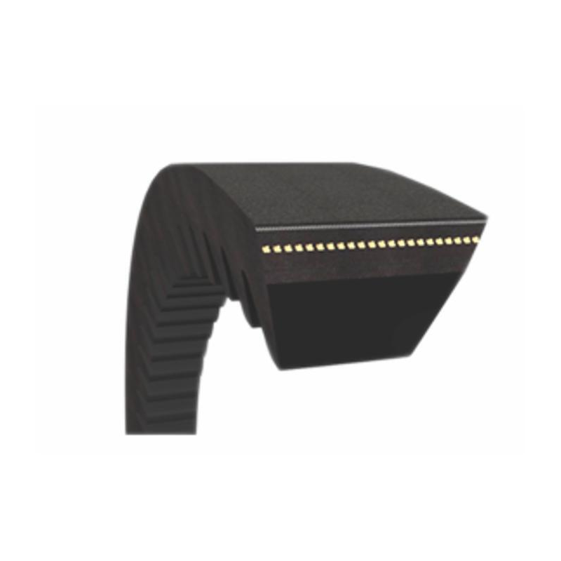 CINGHIA STANDARD AVX10 1300