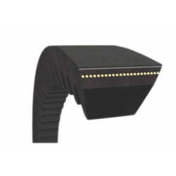 CINGHIA STANDARD AVX10 1525