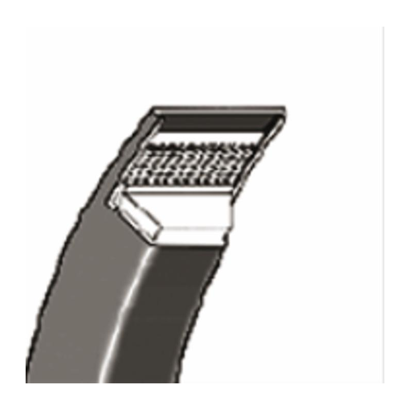 CINGHIA UNIVERSALE 5/8"X46"