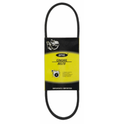 CINGHIA Z46 1/2 MM.1180