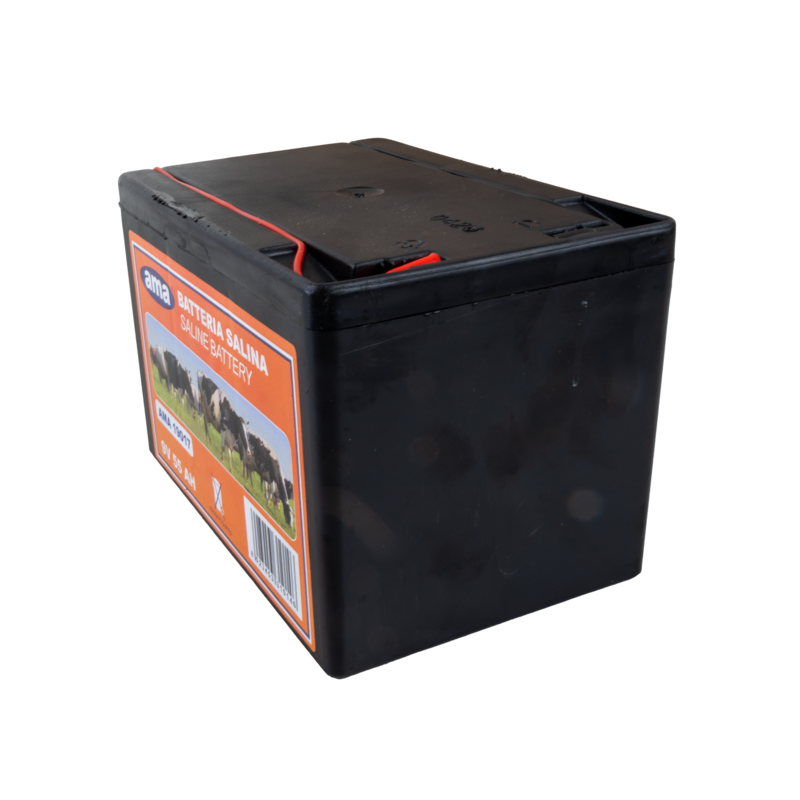 PILA PER RECINTI 9 V, 55 AH