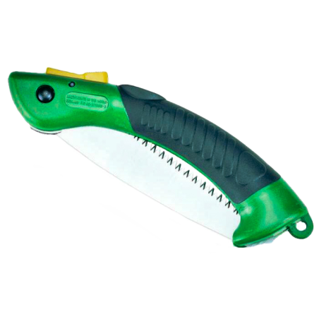 SEGACCIO A SERRAMANICO