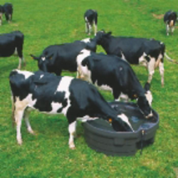 POZZO DA PASCOLO 400 LITRI