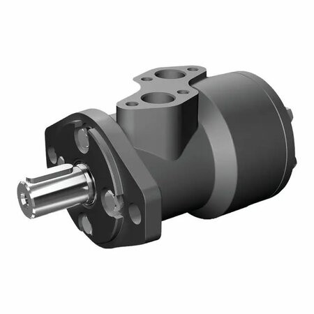 Modello XLS