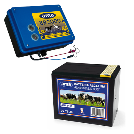 Elettrificatori e batterie