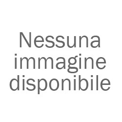 Modello WP